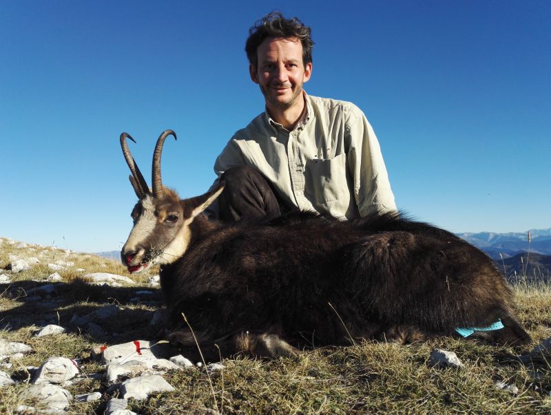 Chasse à l'approche du chamois dans les Alpes